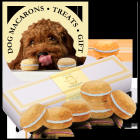 Dog Macarons - Box of 6 (Available in 12 Flavors)