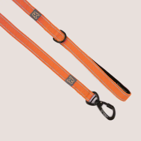 NANDOG Anti-Push Sport Dog Leash With Neoprene Handle (Color: ORANG)