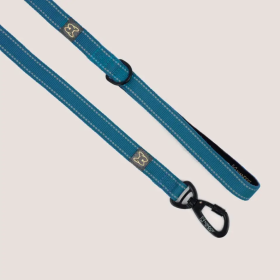 NANDOG Anti-Push Sport Dog Leash With Neoprene Handle (Color: Blue)